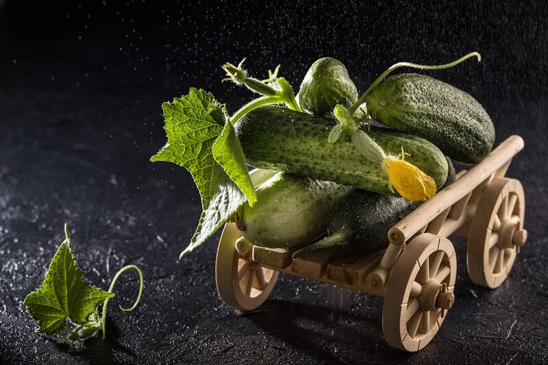 Cucumbers on Toy Cart