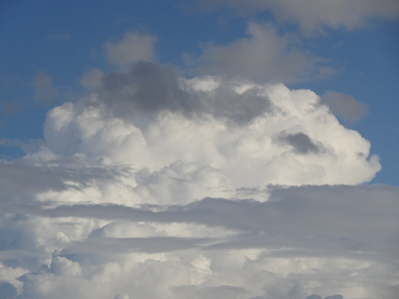 Cumulus Cloud Formation — Blue