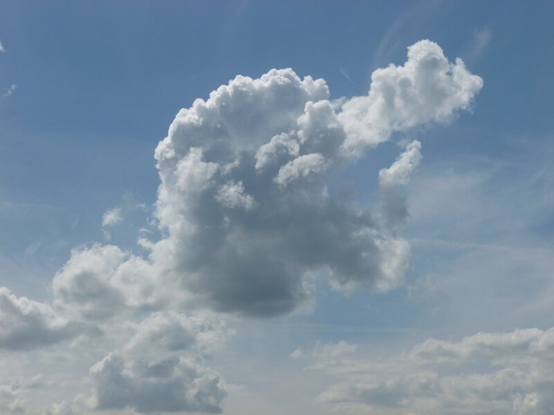 Cumulus Cloud in Sky