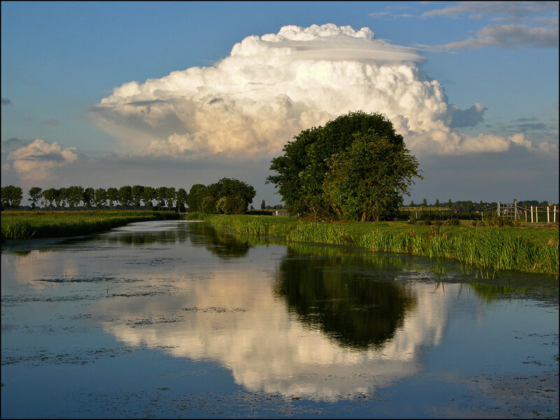 Cumulus Cloud Reflection