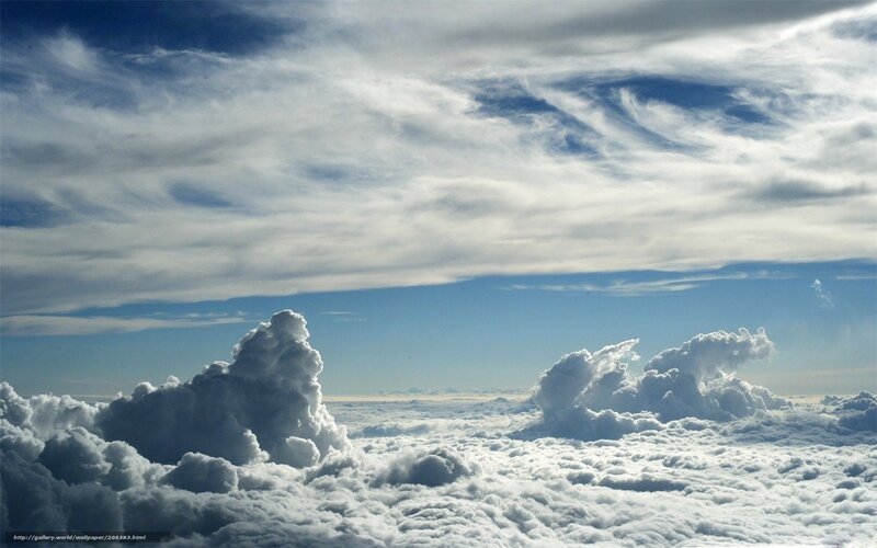 Cumulus Clouds from Above — White, Serene, Afternoon, Photograph, Sky, Blue Sky