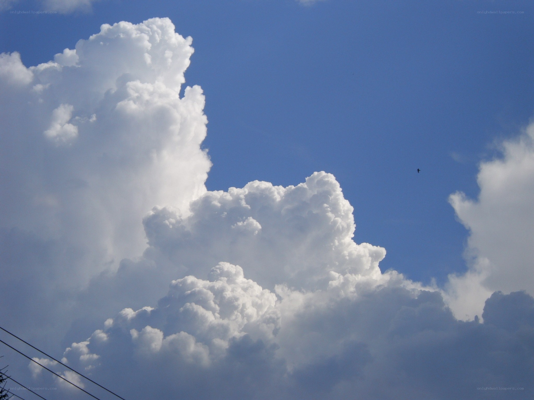 Cumulus clouds in blue sky