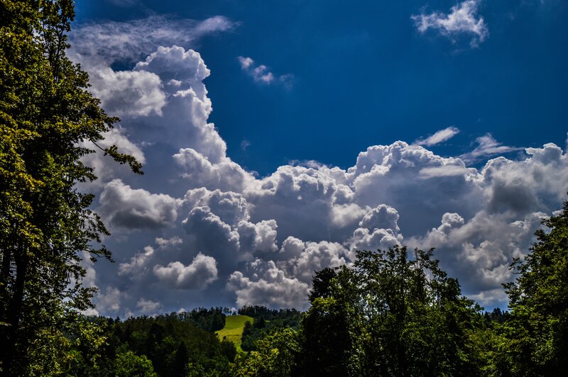 Cumulus Clouds over Forest