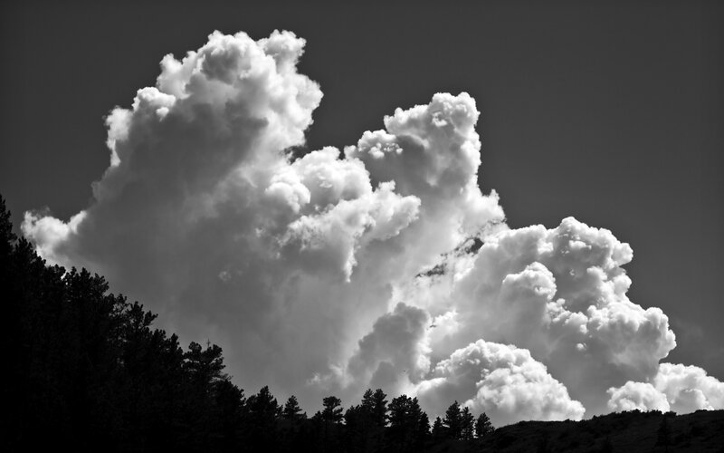 Cumulus Clouds over Trees — Black