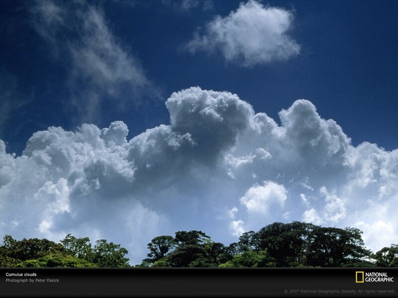 Cumulus clouds over trees