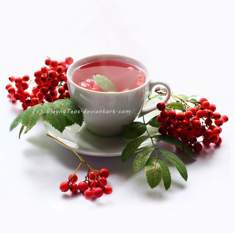 Cup of Berry Tea