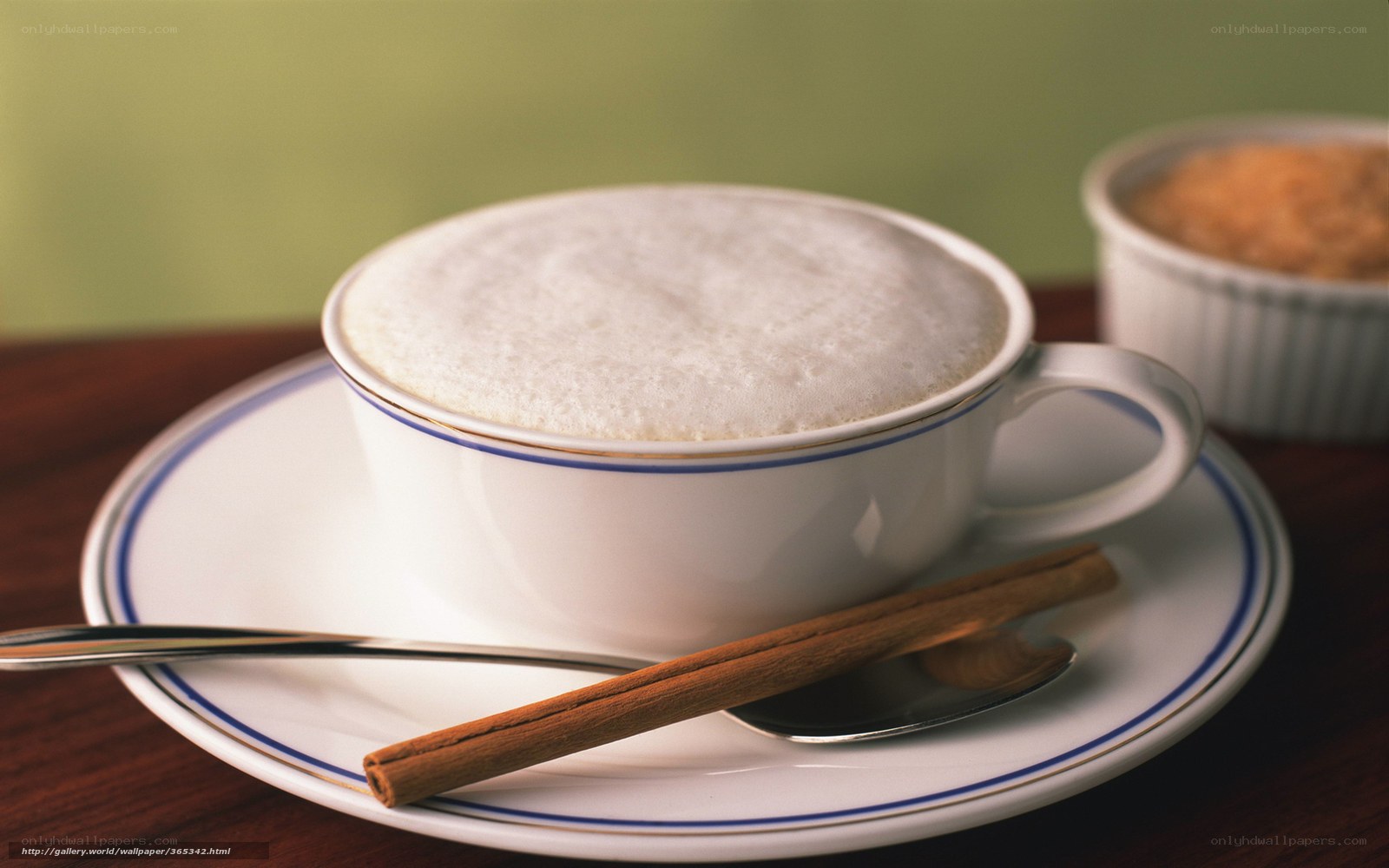 Cup of cappuccino with cinnamon