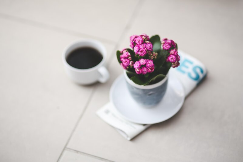 Cup of Coffee and Flowers