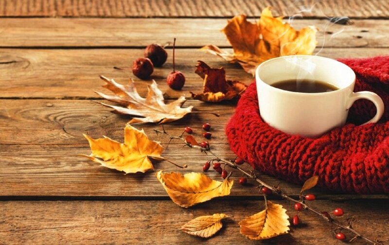 Cup of Coffee on Wood — Brown