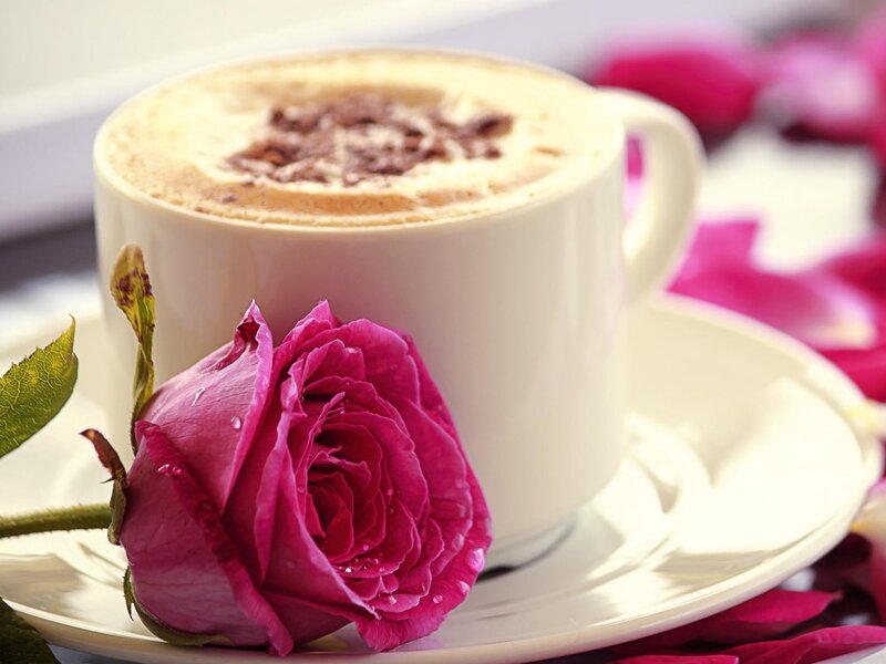 Cup of Coffee with Rose — White