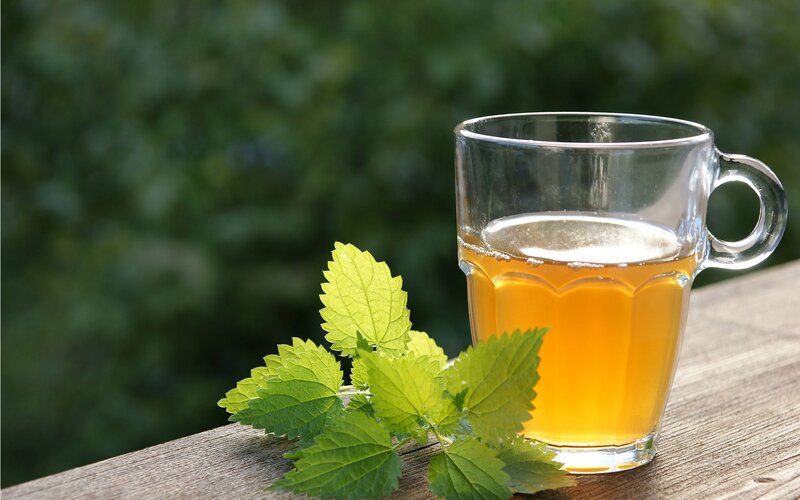 Cup of Herbal Tea — Green