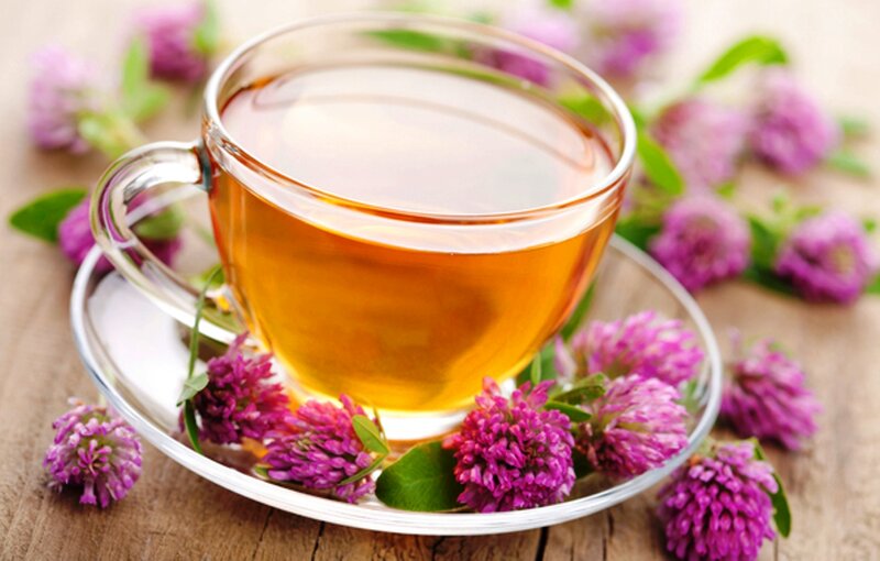 Cup of Herbal Tea — Purple