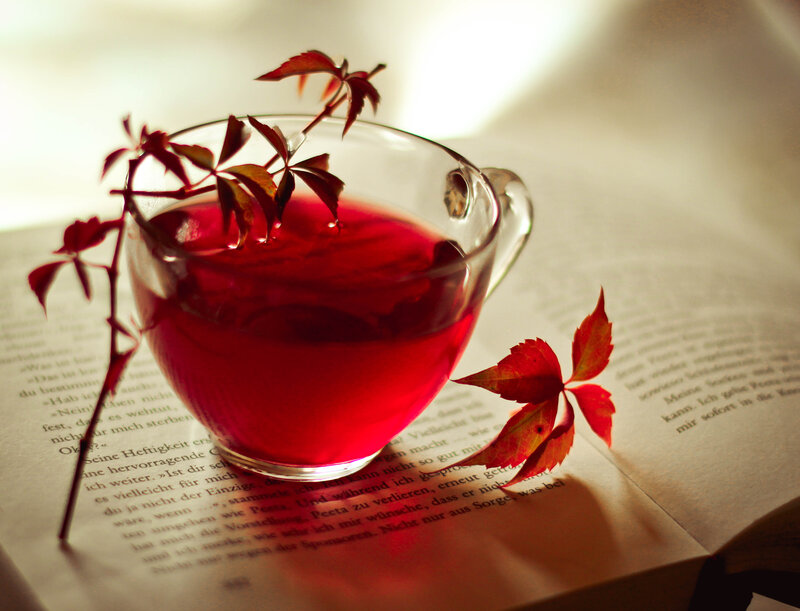 Cup of Red Liquid on Book