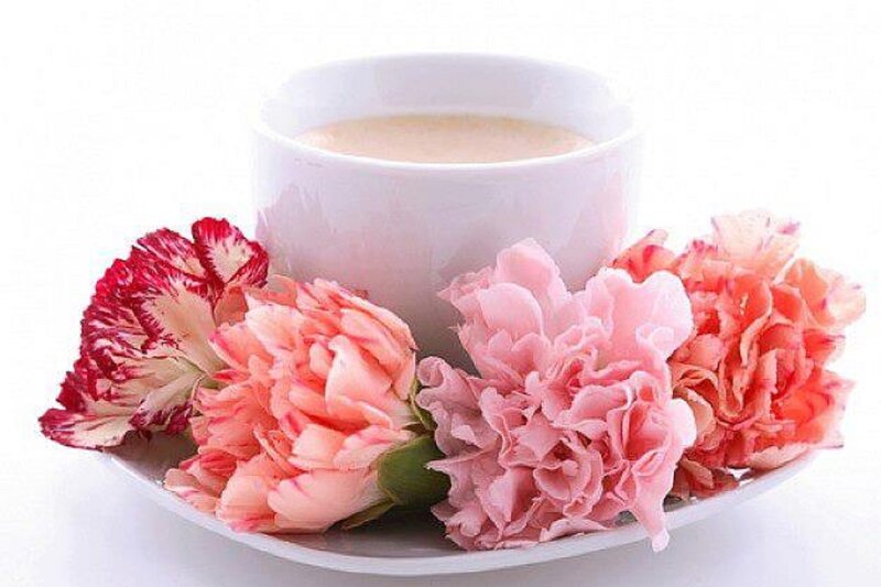 Cup of Tea with Carnations