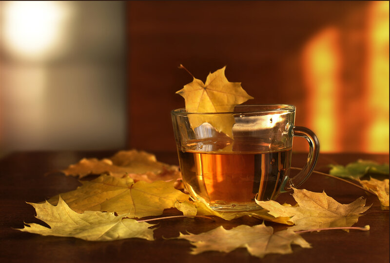 Cup of Tea with Leaves — Brown