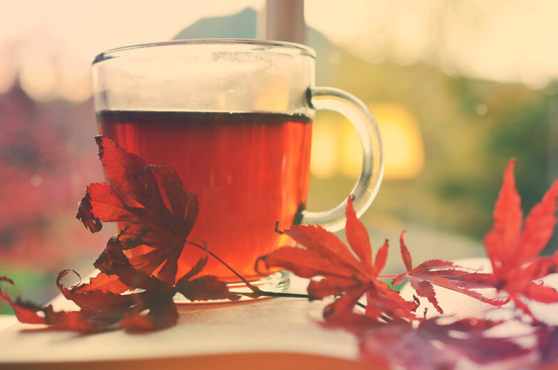 Cup of Tea with Leaves — Red