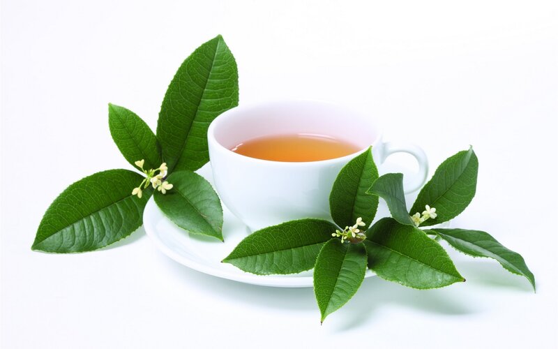 Cup of Tea with Leaves — White, Serene
