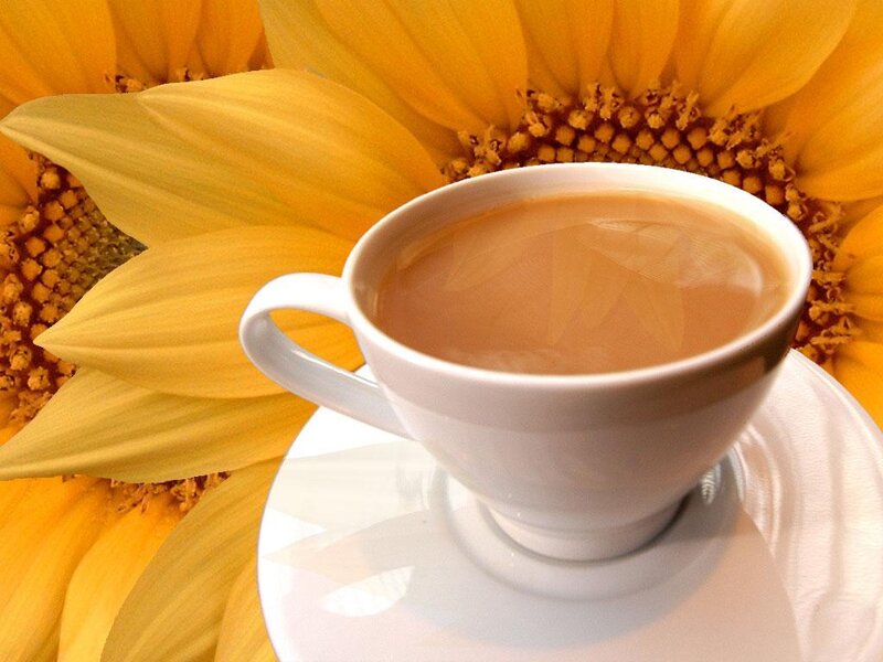 Cup of Tea with Sunflower