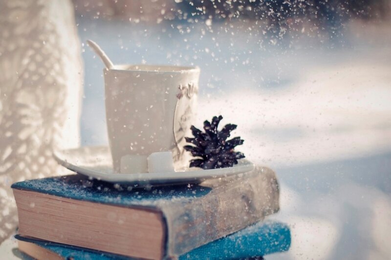 Cup on Books in Snow