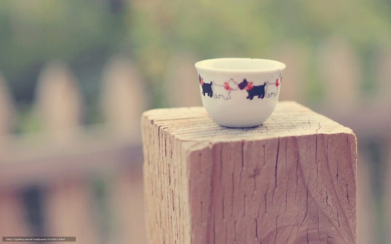 Cup with dogs on wood