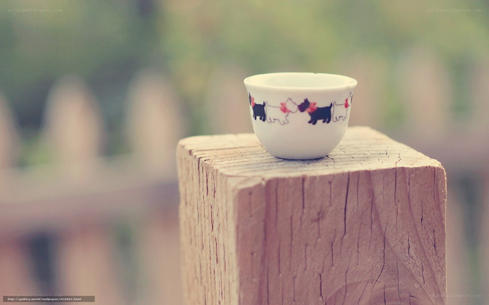 Cup with dogs on wood