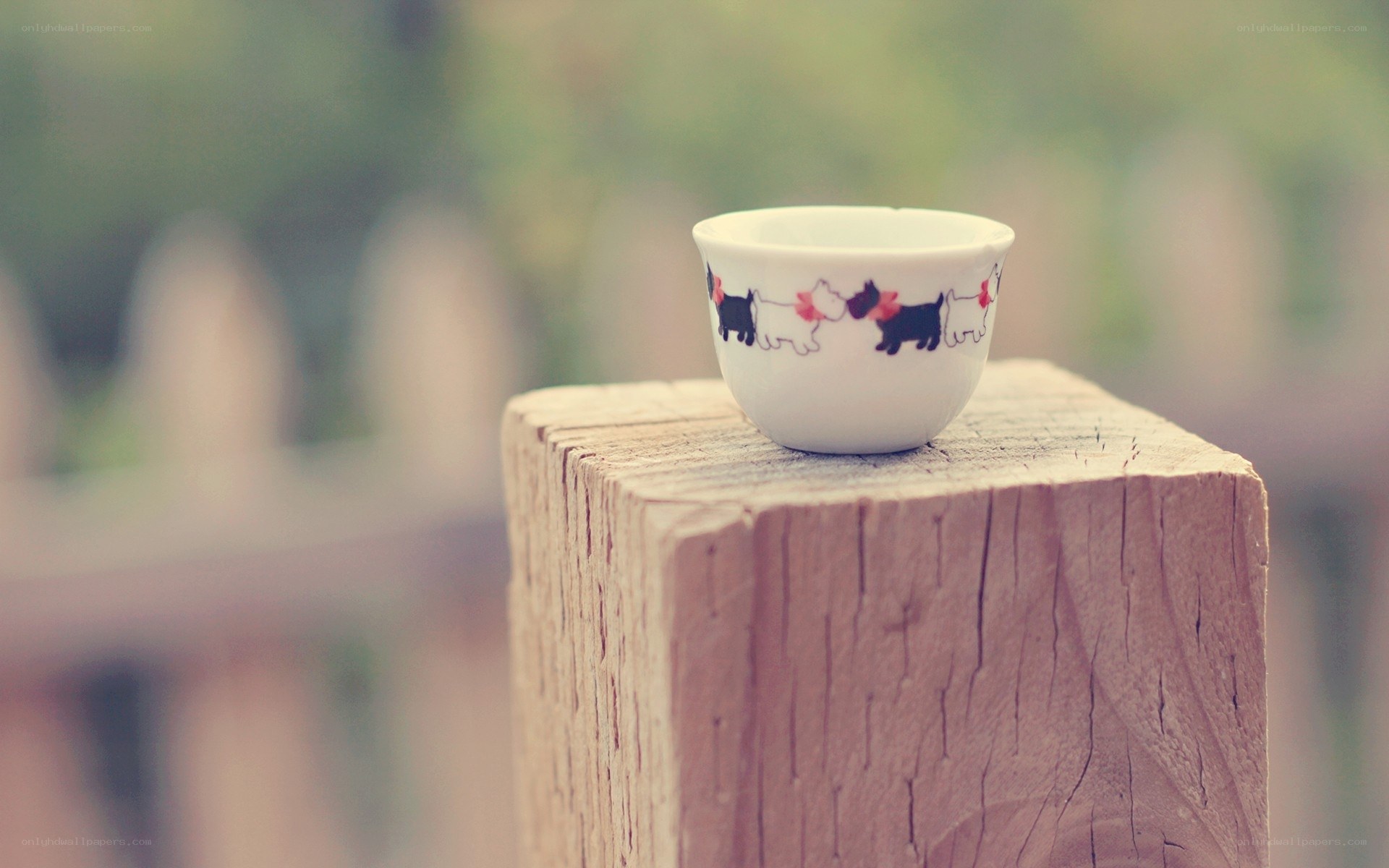 Cup with dogs on wood