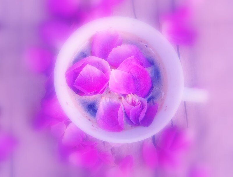 Cup with Rose Petals