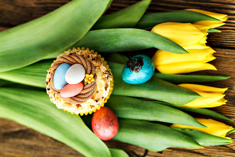 Cupcake with Bird's Nest