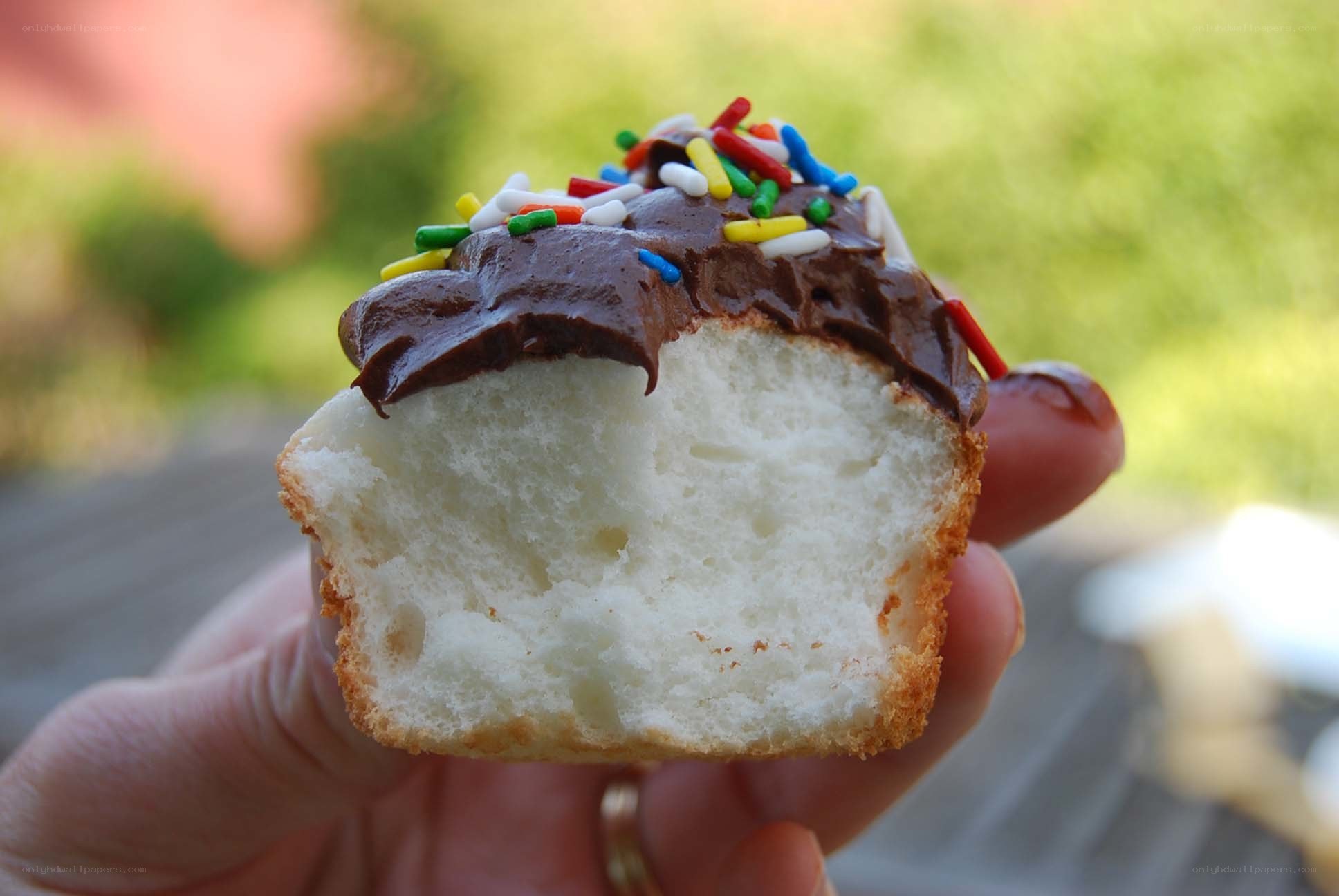 cupcake with chocolate frosting