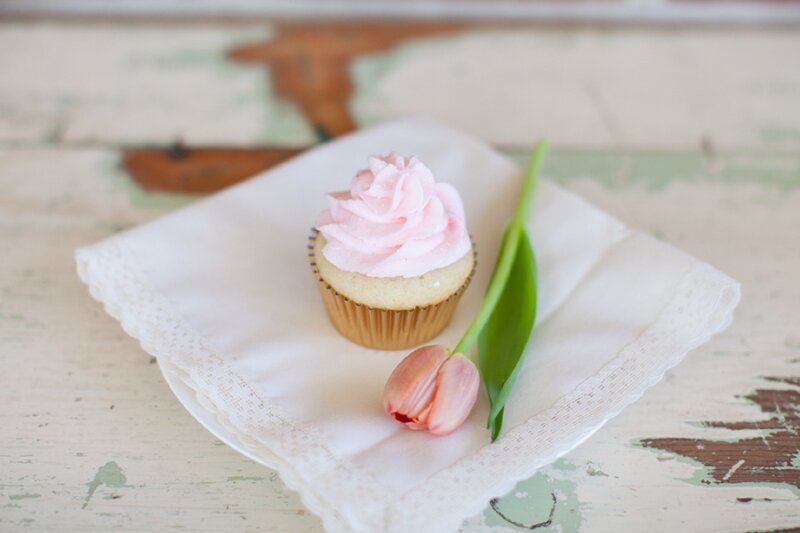 Cupcake with Pink Frosting — Serene