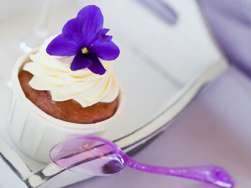 Cupcake with Purple Flower — Elegant