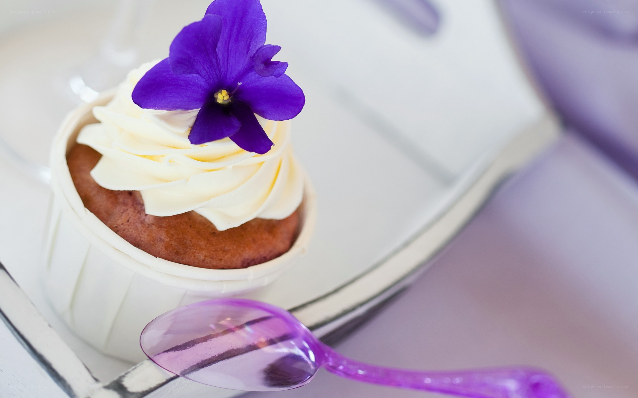 cupcake with purple flower