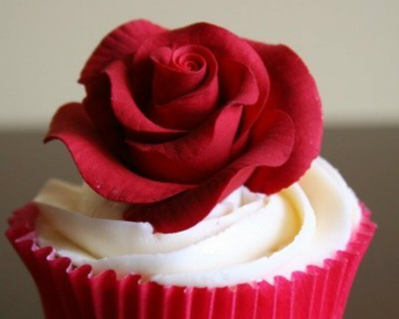Cupcake with Red Rose
