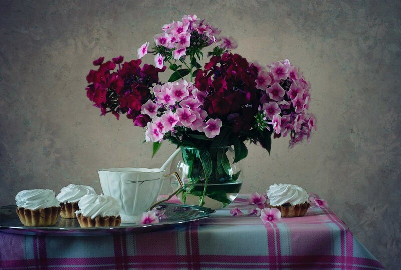 Cupcakes and Flowers