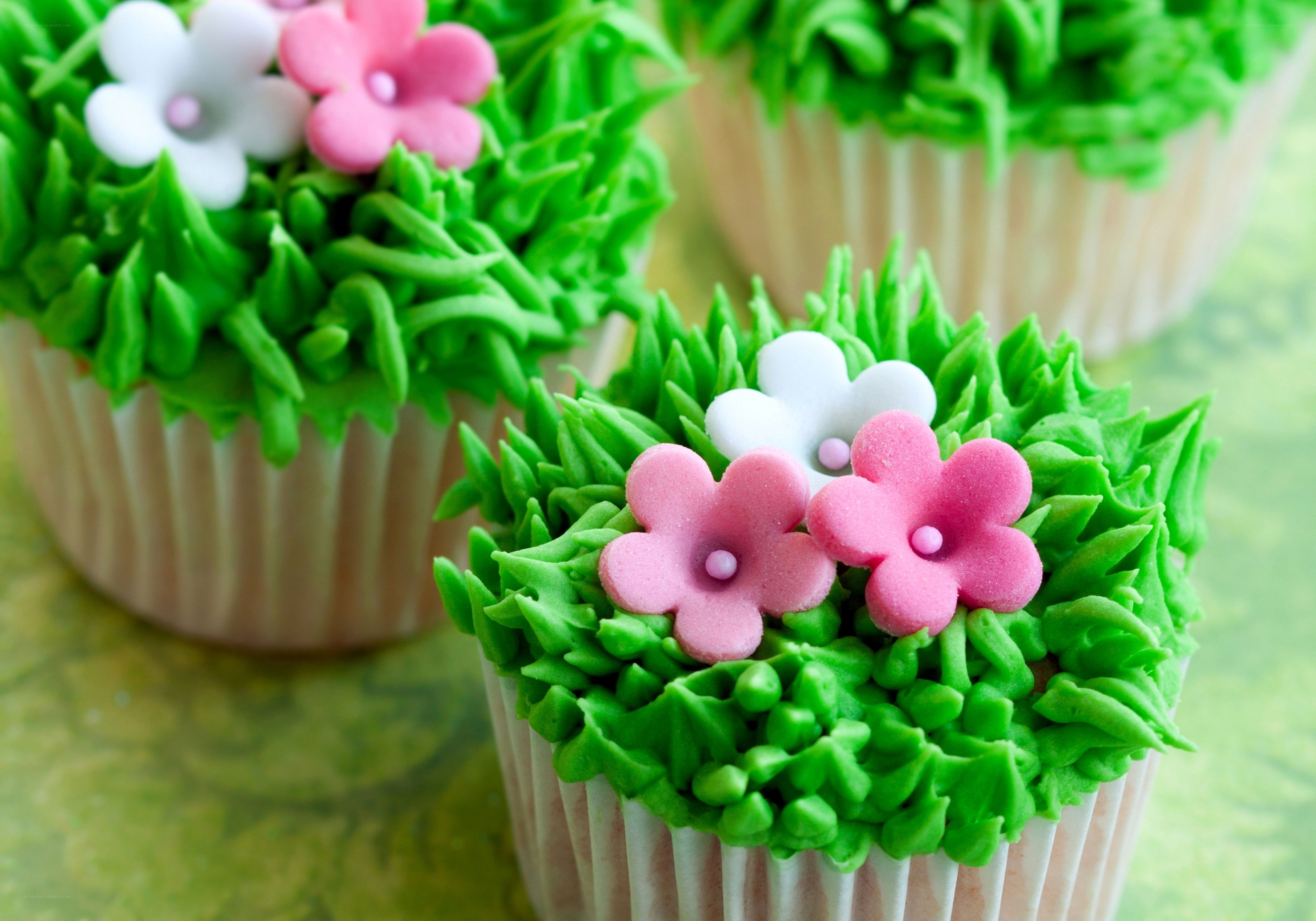 cupcakes with flower decorations
