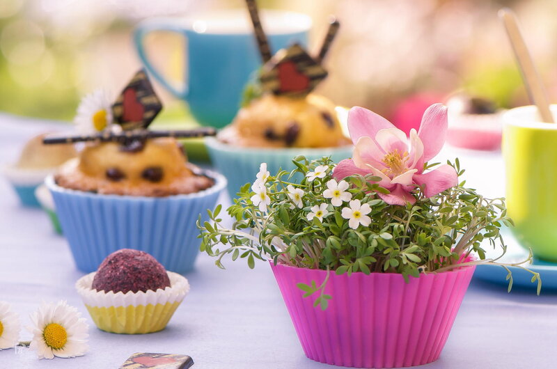 Cupcakes with Flowers — Pink, Calm