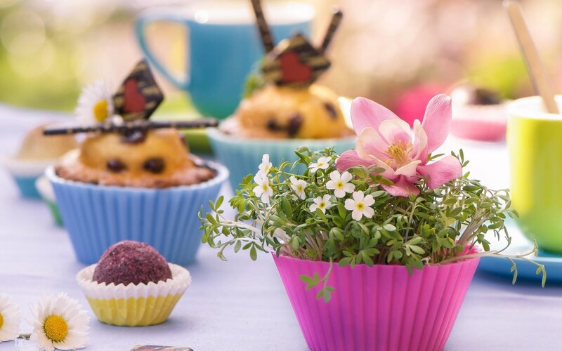 Cupcakes with Flowers — Pink, Serene