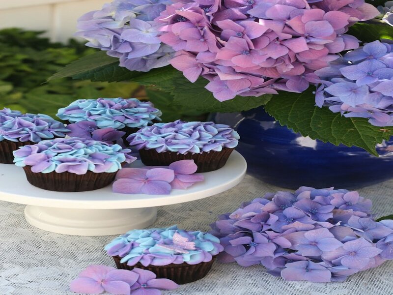 Cupcakes with Hydrangea Frosting