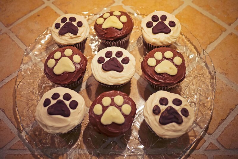 Cupcakes with Paw Prints