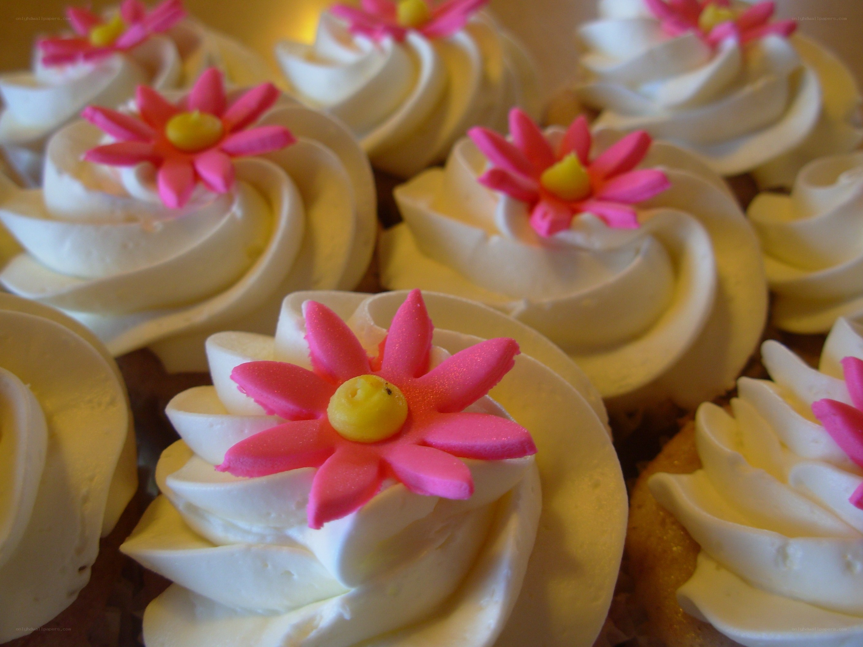 Cupcakes with pink flowers