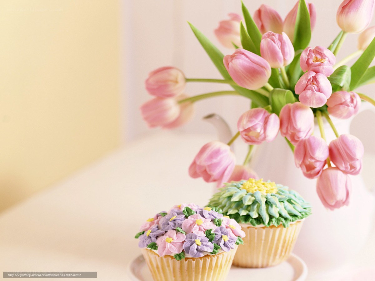 Cupcakes with pink tulips