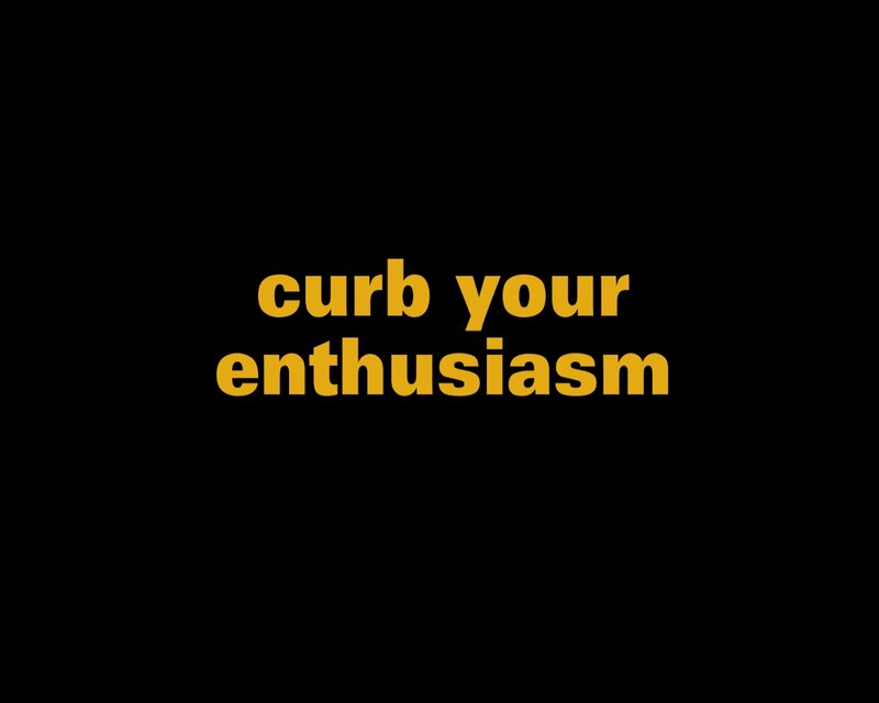 curb your enthusiasm text