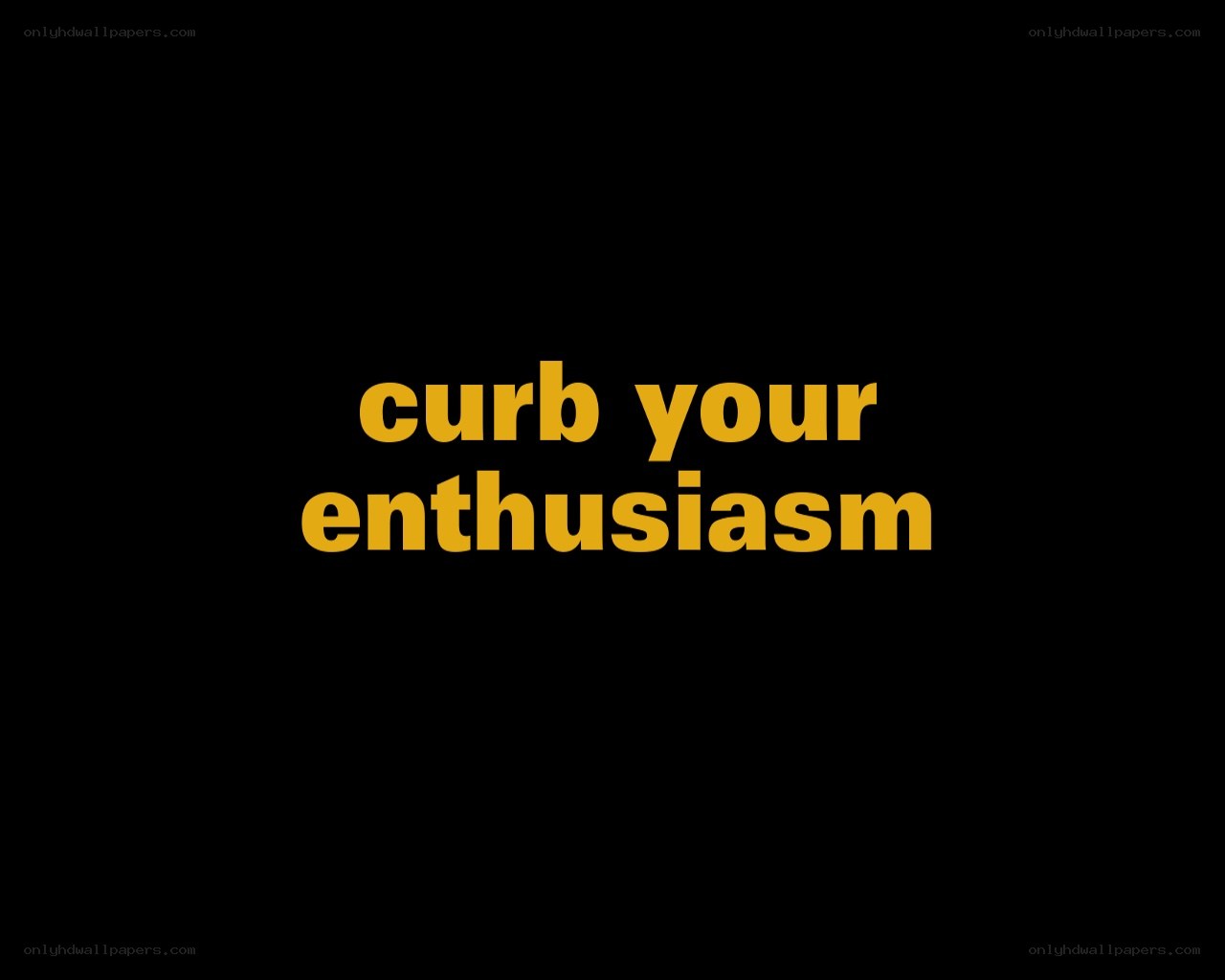 curb your enthusiasm text