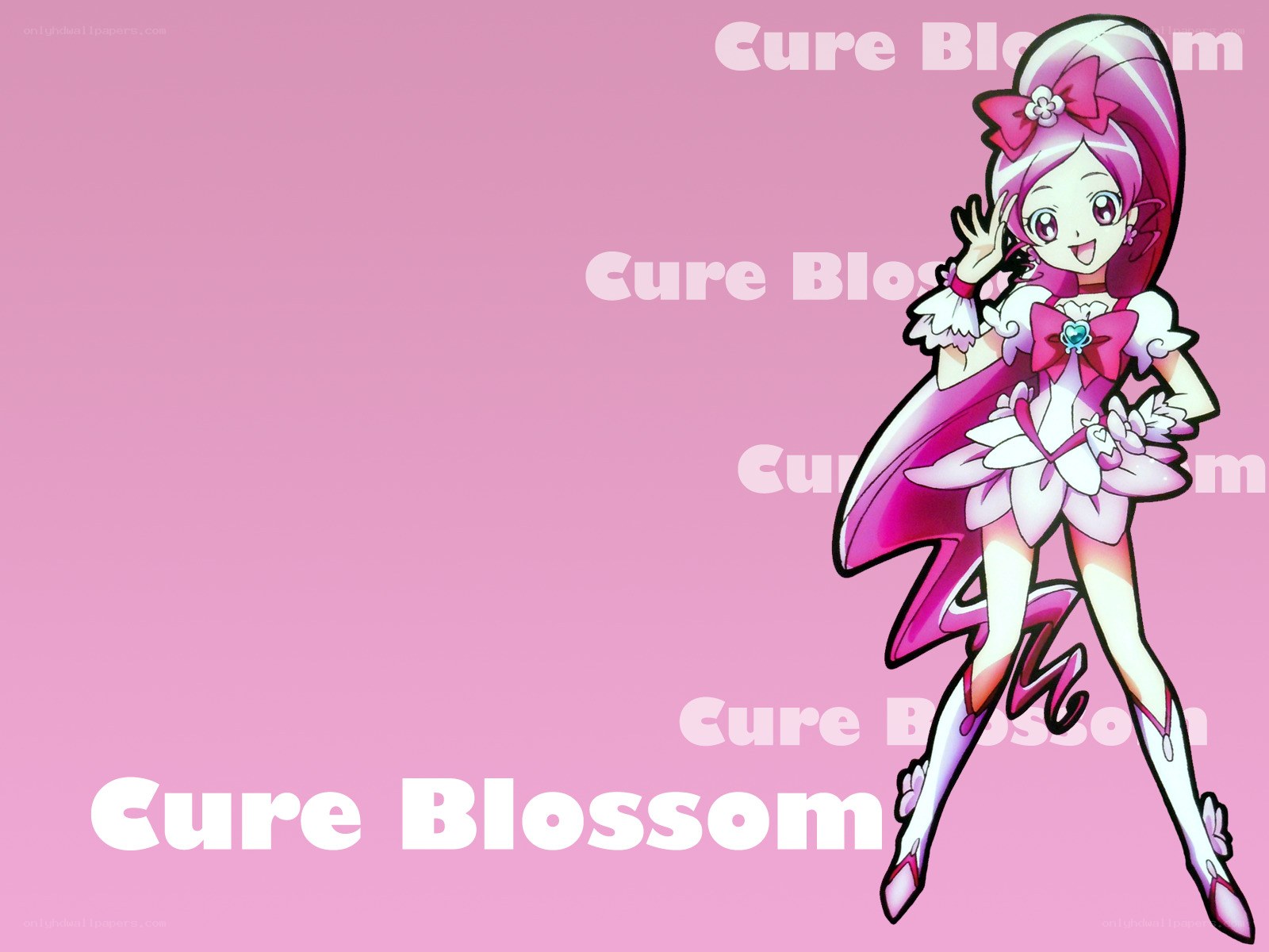 Cure Blossom character art