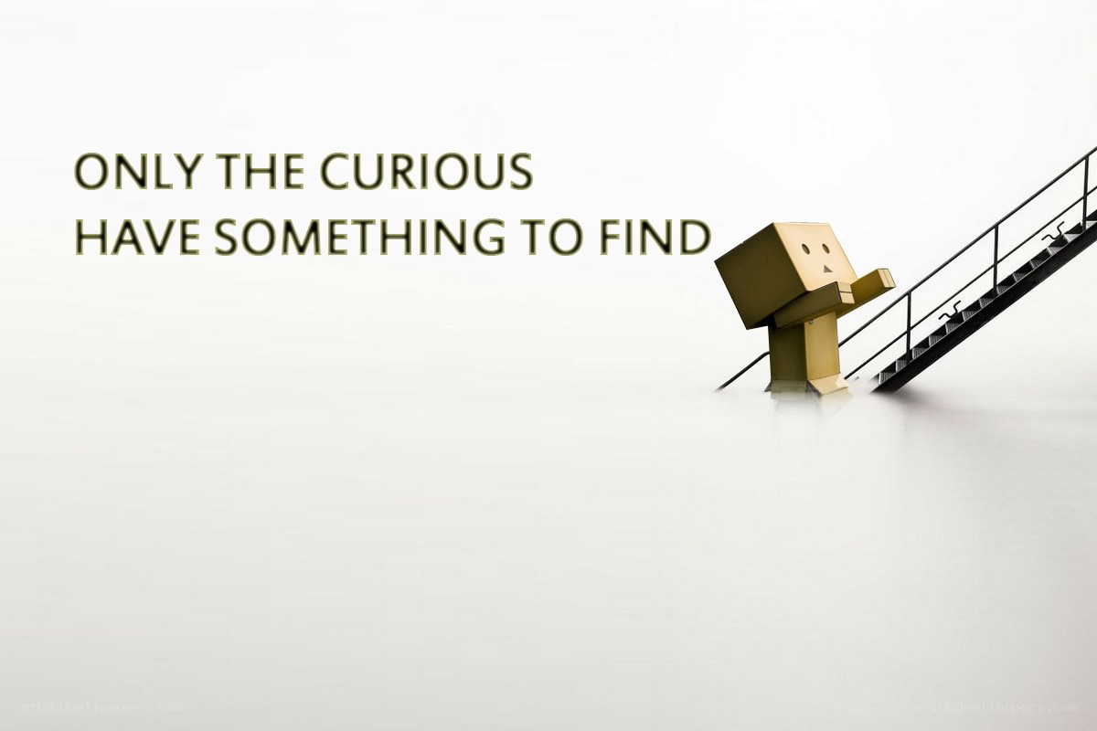 curiosity and discovery