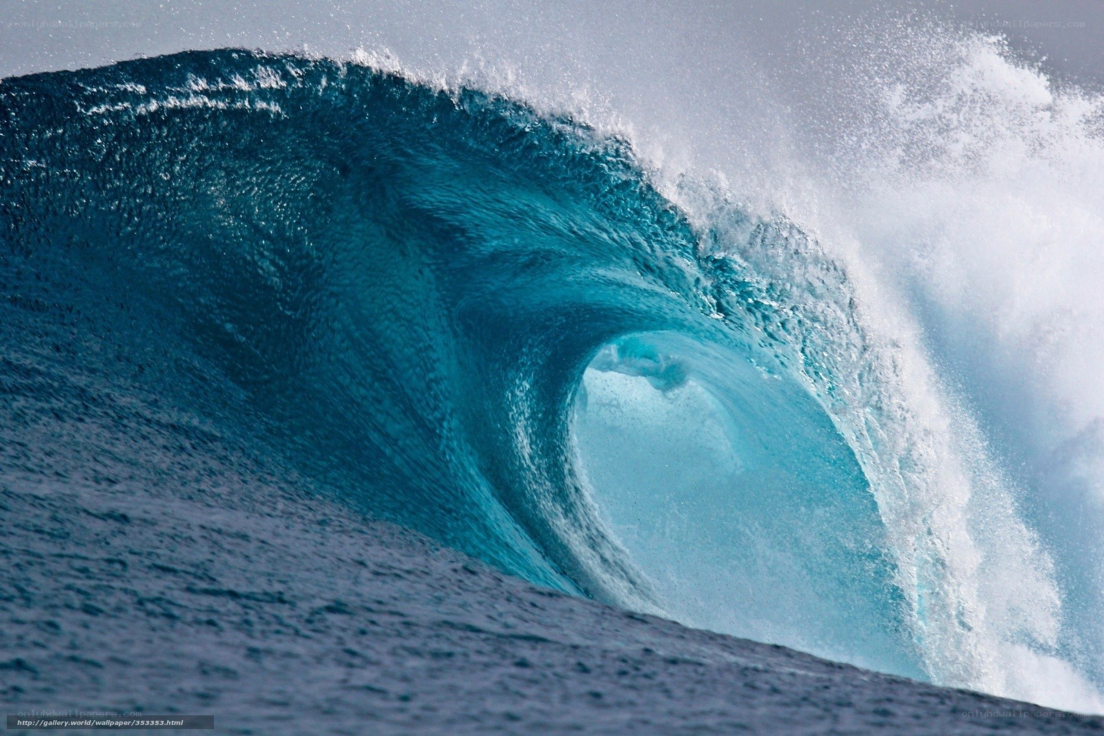 Curling ocean wave
