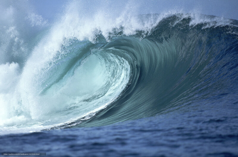 Curling ocean wave