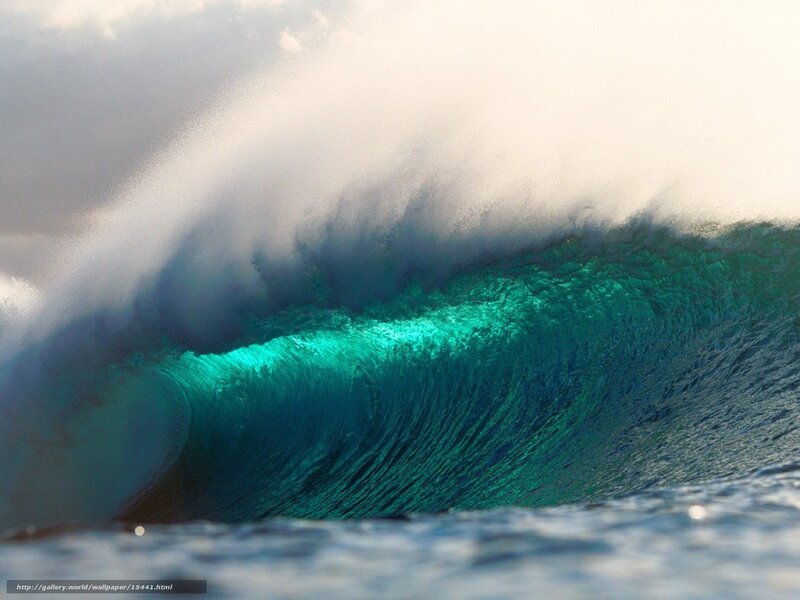 Curling ocean wave
