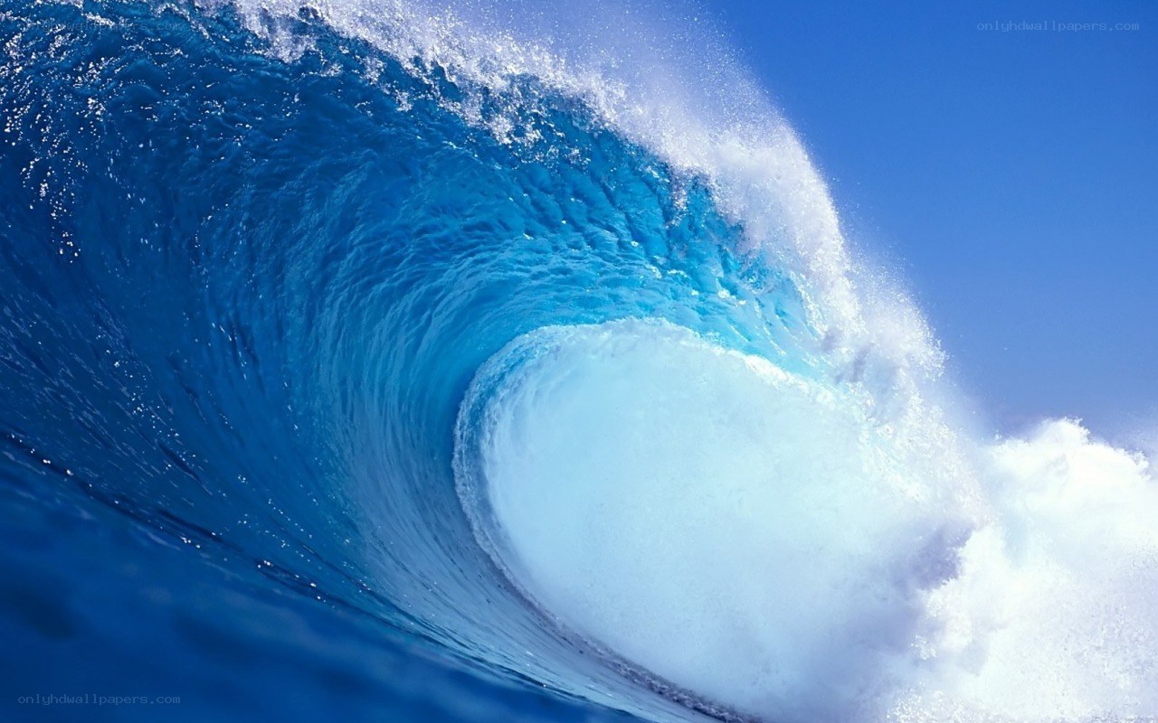 Curling ocean wave