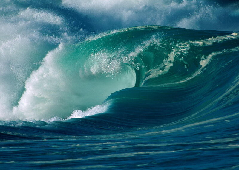 Curling ocean wave
